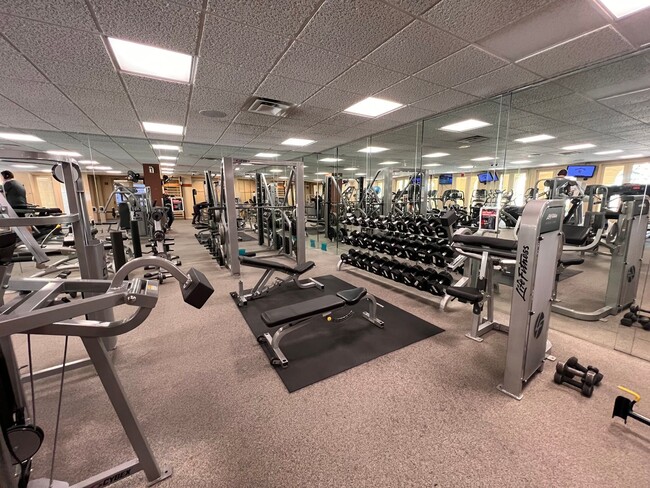 Building Photo - Fully furnished (Short Term Available) / G...