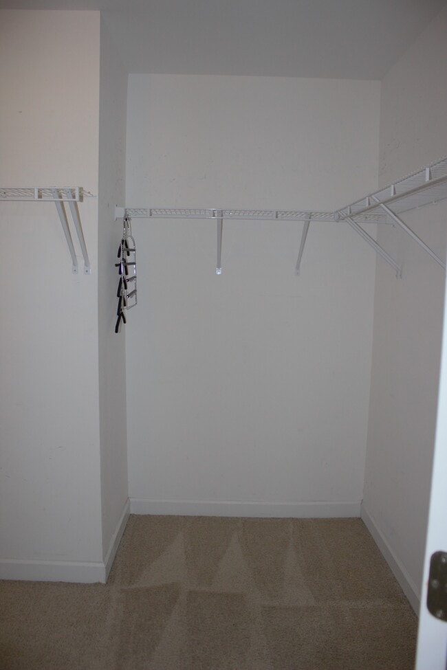 Building Photo - 2143 Stafford Dr