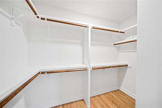 Building Photo - 18 Tulip Hill Ct