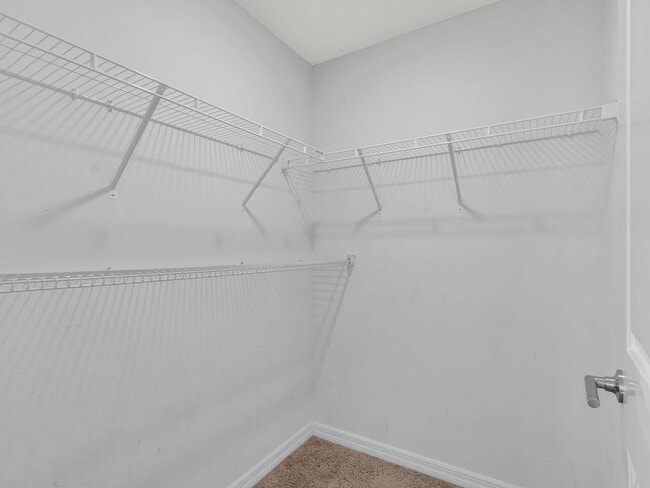 Building Photo - 602 Olive Conch St