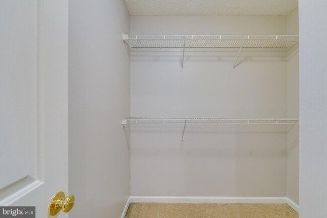 Building Photo - 27 Cutter Cove Ct