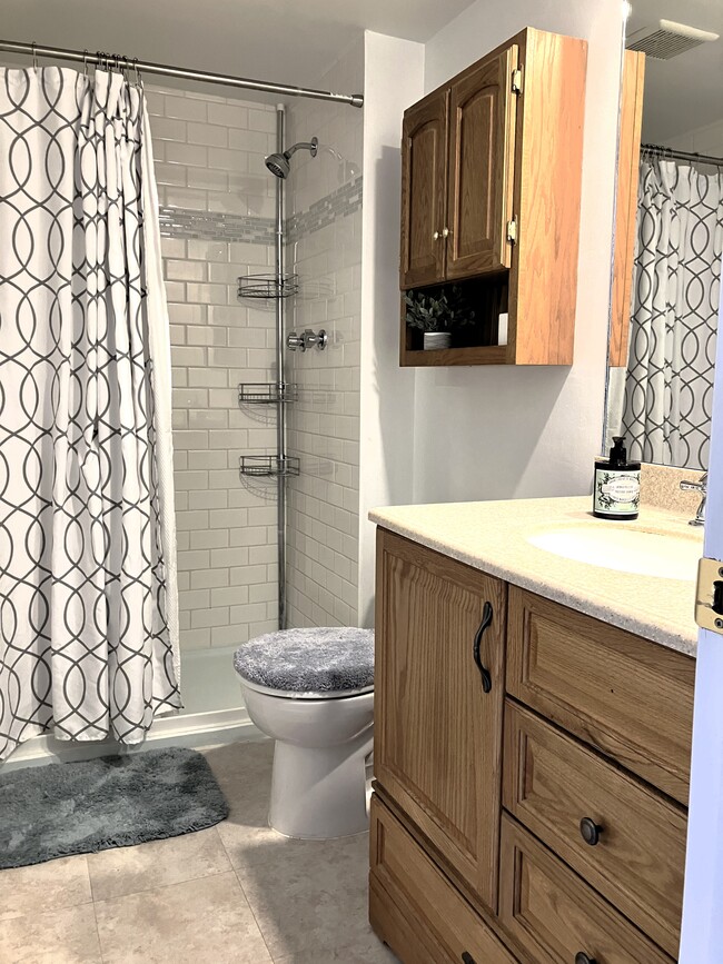 Hall Bathroom - 2227 Canyon Blvd
