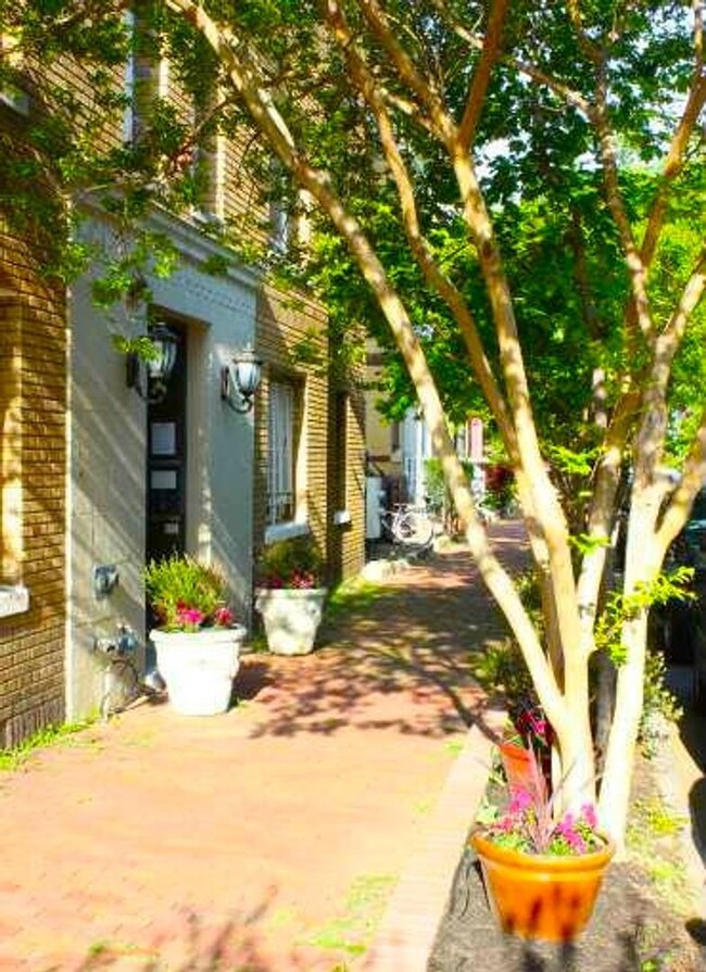 Building Photo - Dupont's Charming 1 Bedroom Condo W/D & Ro...