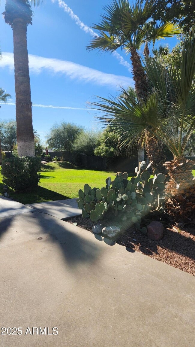 Building Photo - 4330 N 5th Ave