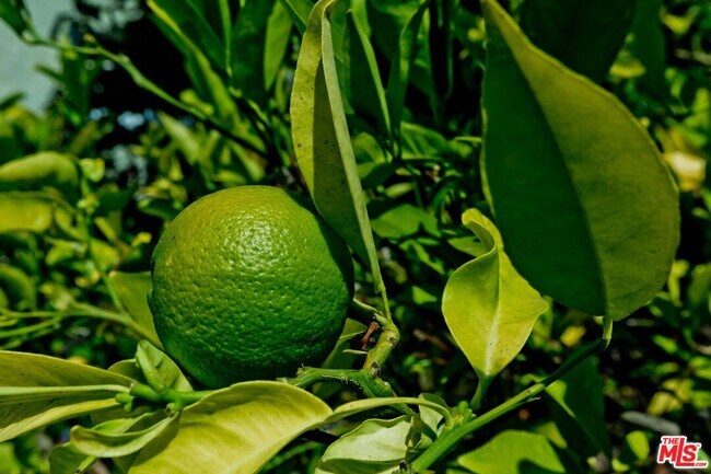 Building Photo - 921 24th St