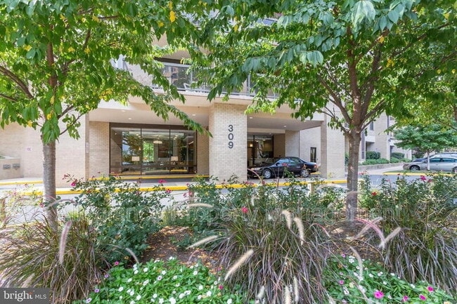 Building Photo - 309 Yoakum Pkwy