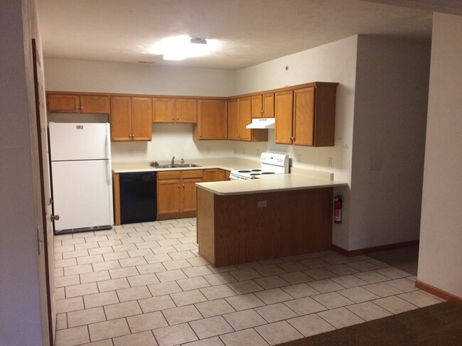 Kitchen in unit 1415. Other units have a window above the sink. - 1415 Knollwood Ave