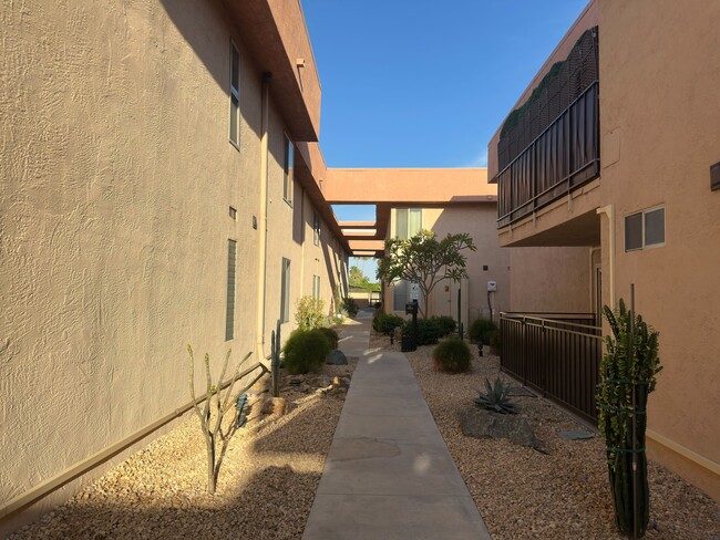 Building Photo - Poolside Condo