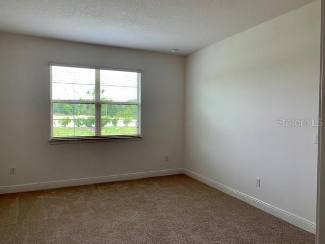 Building Photo - 3129 Songbird Cir