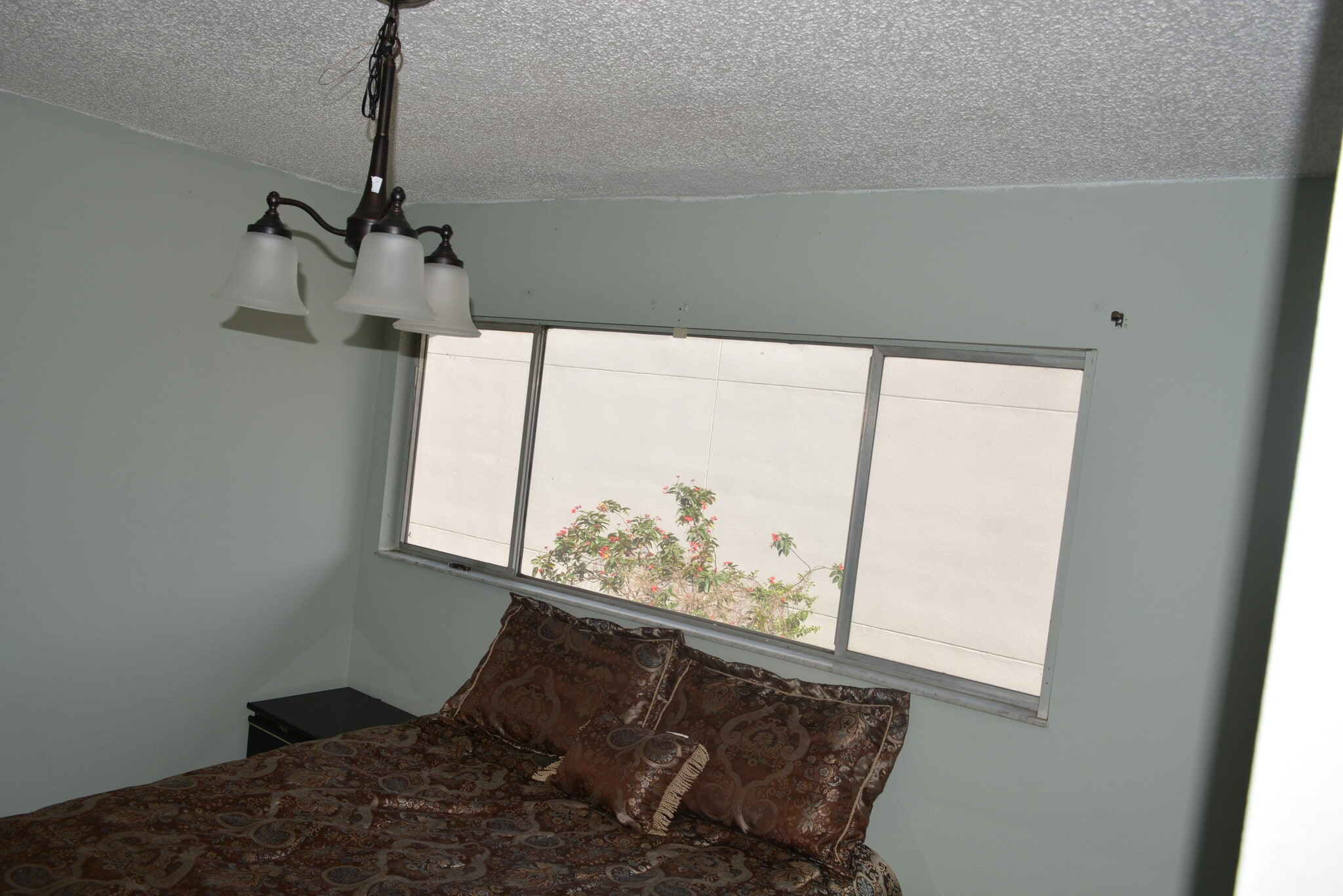 Building Photo - 973 Whitman Dr