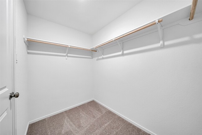 Building Photo - 10708 Lavender Cotton Ln