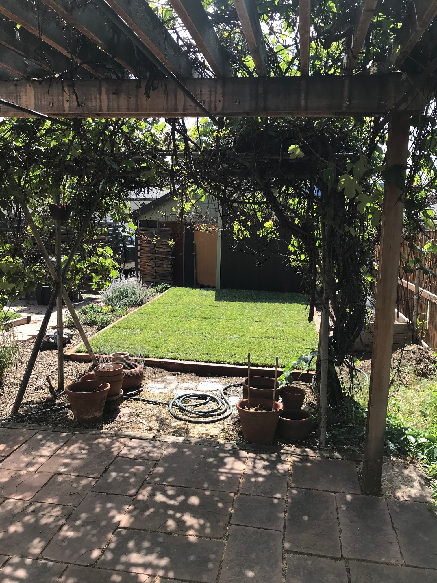 Back Yard / Patio / Garden - 4361 Raleigh St