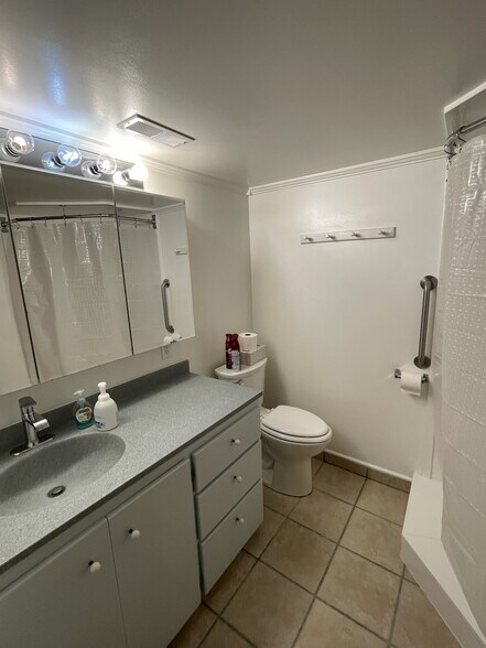 Downstairs bathroom (45 sf) - 206 N 200 E