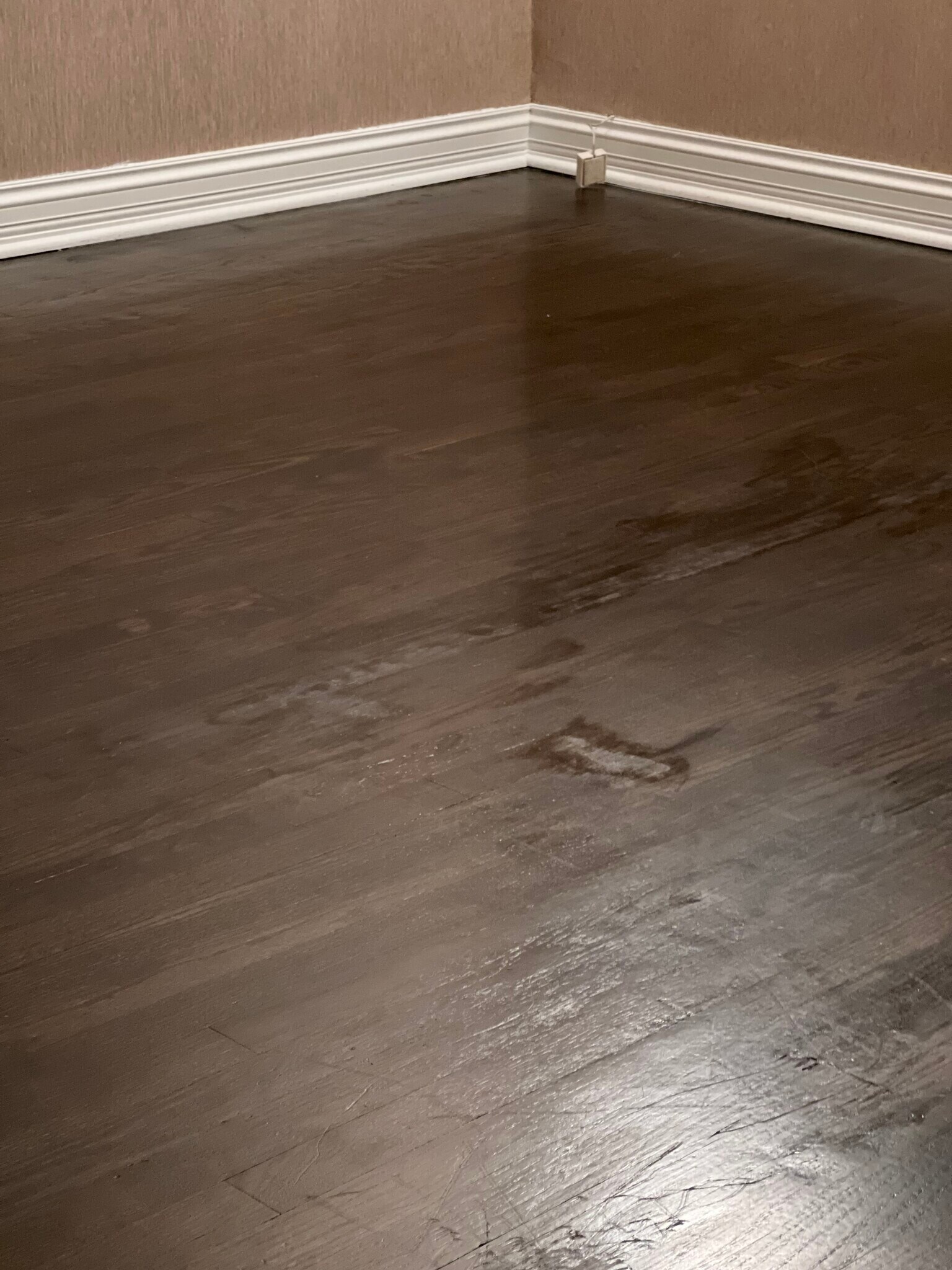 Building Photo - 9121 Niles Center Rd