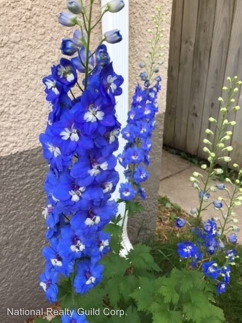 Building Photo - 2 br, 1 bath House - 5455 28th ave s