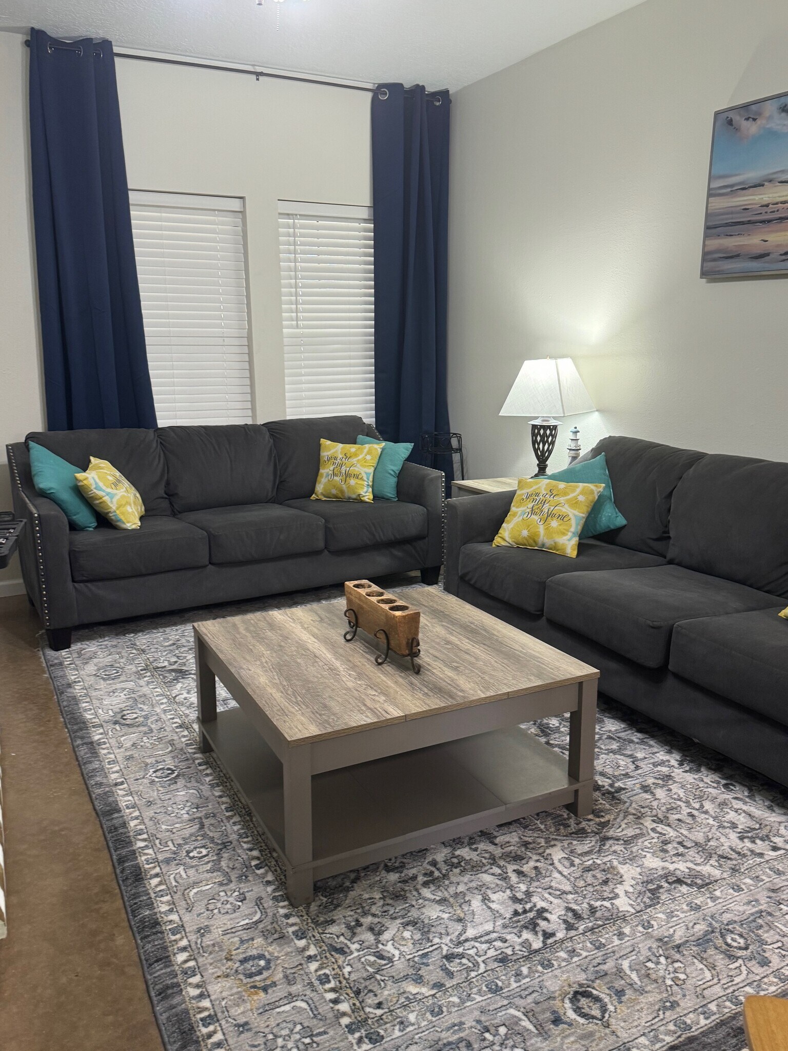 Living Room - 1139 Christy Dr