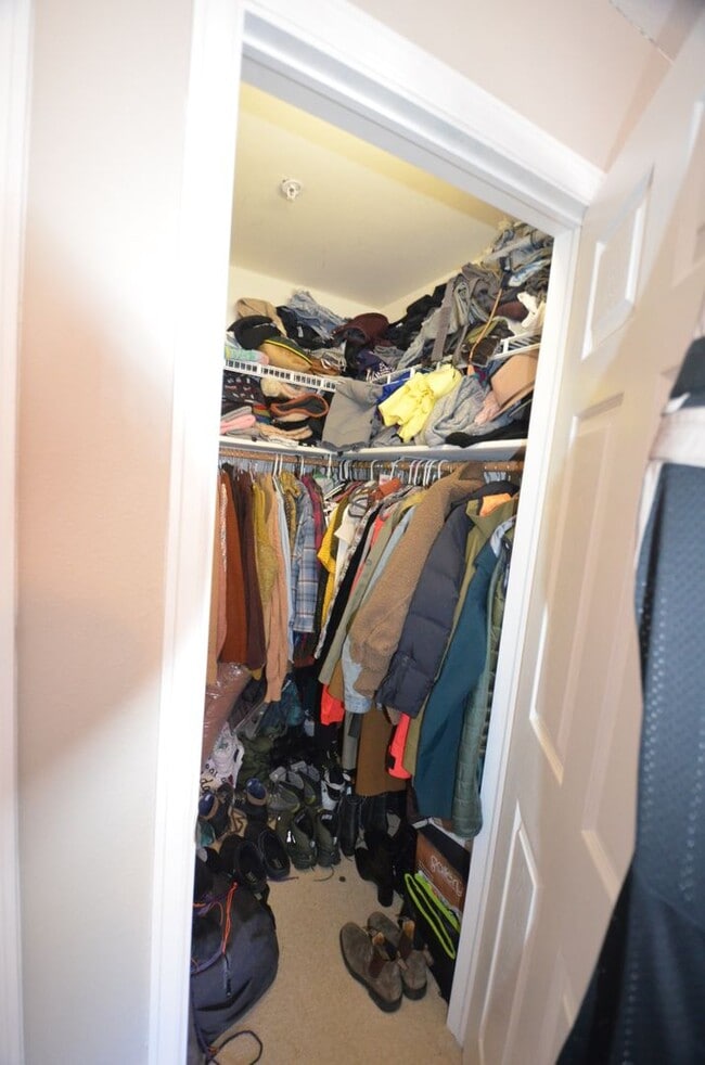 Building Photo - HEAT INCLUDED! Summer Only Rental!