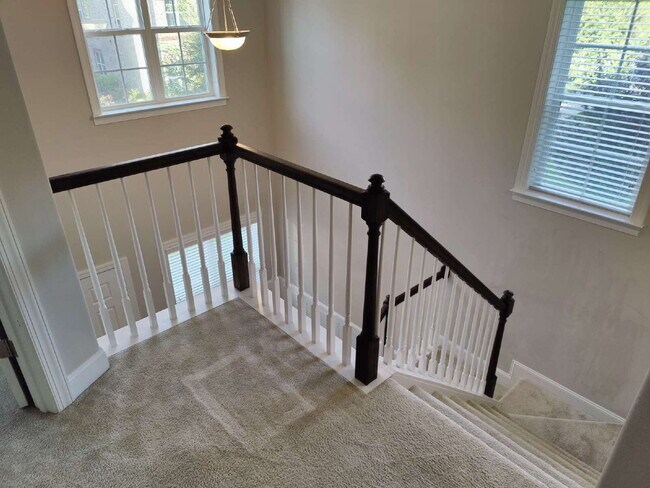 Building Photo - 847 Silver Leaf Dr