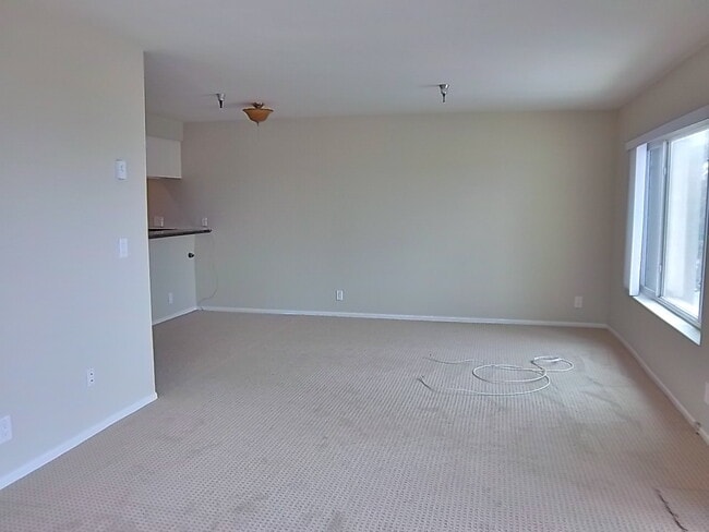 Building Photo - Ocean View Corner Unit Condo w/Balcony+Jac...