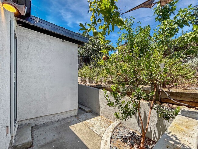 Building Photo - Beautiful 3BD/2BA House in El Cerrito w/ W...