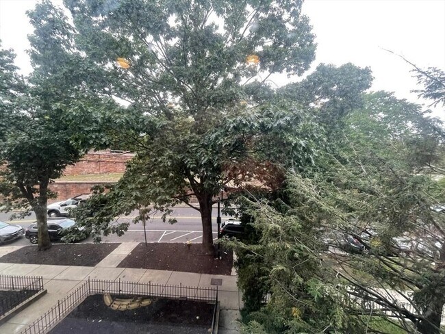 Building Photo - 394 Riverway