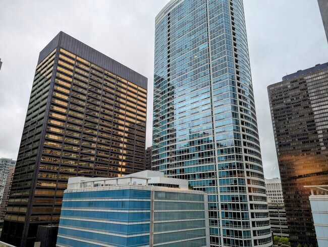 Building Photo - 512 N McClurg Ct