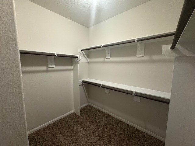 Building Photo - 3906 Deledda Dr