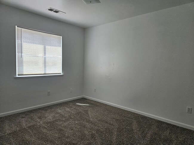 Building Photo - 2042 Romolo St