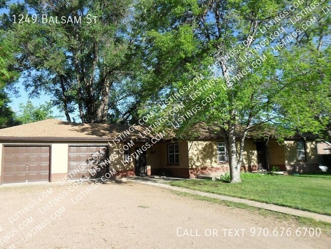 Primary Photo - 1249 Balsam St