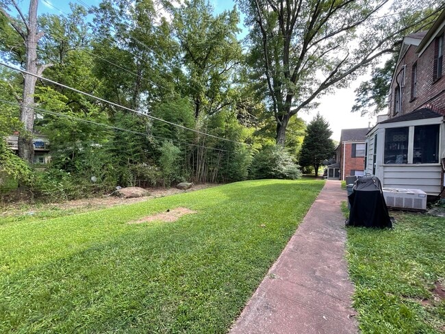 Backyard - 1681 Valley Ave