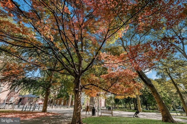 Building Photo - 704 S Washington Square