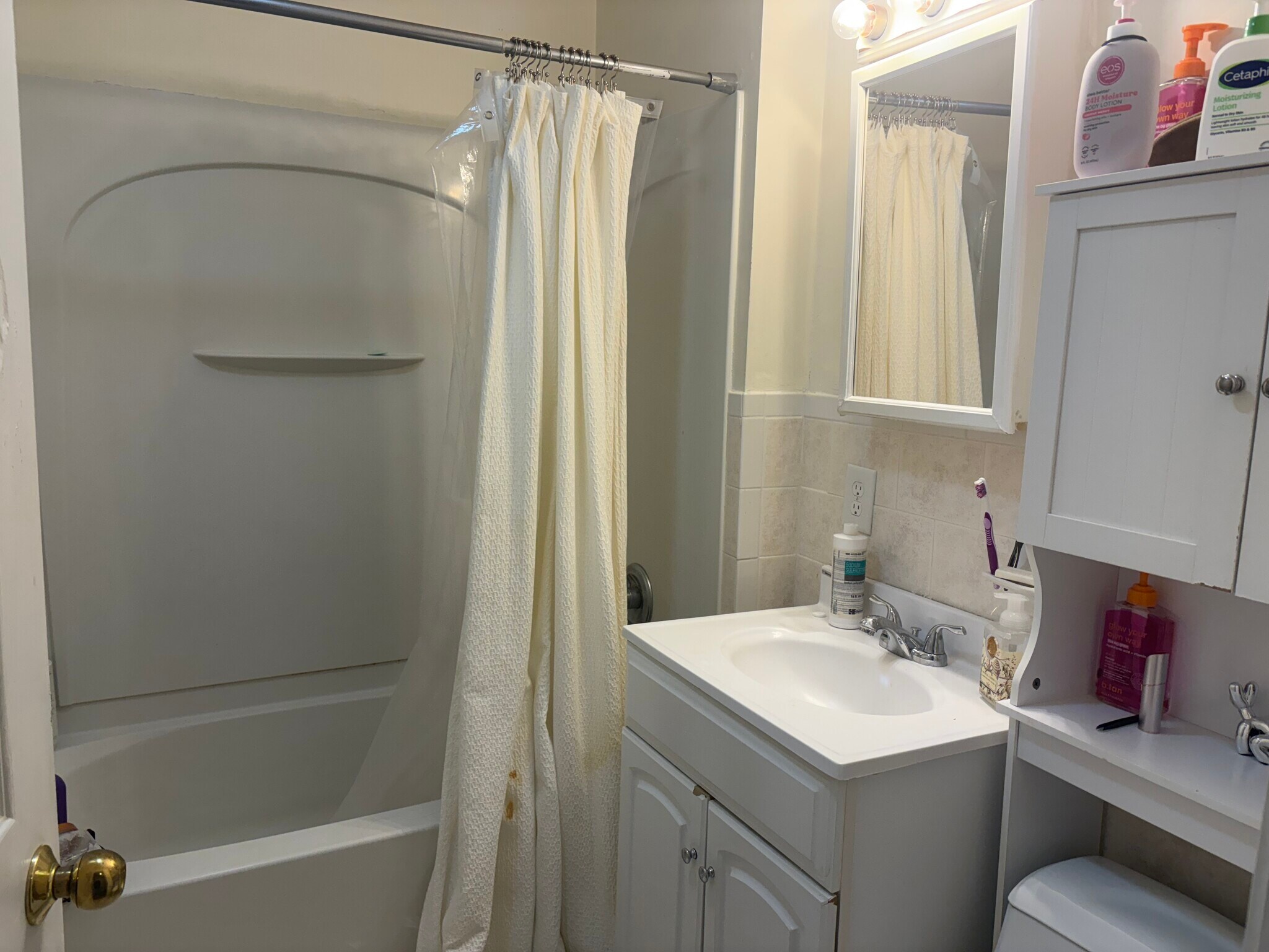 Building Photo - 60 Egmont St