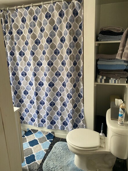 Main Bath - 140 Mount Kemble Ave