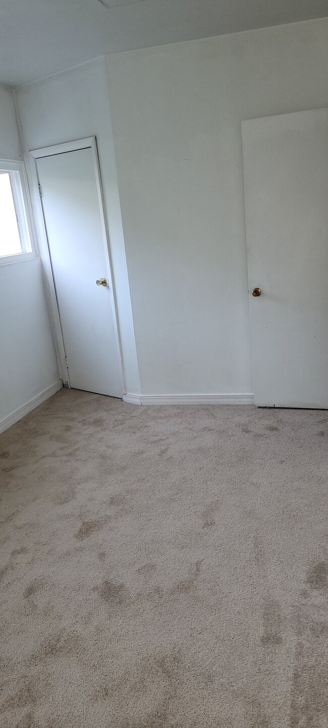 Building Photo - 808 Steuben St