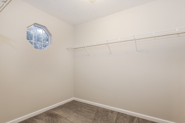 Building Photo - 2294 Coach Way