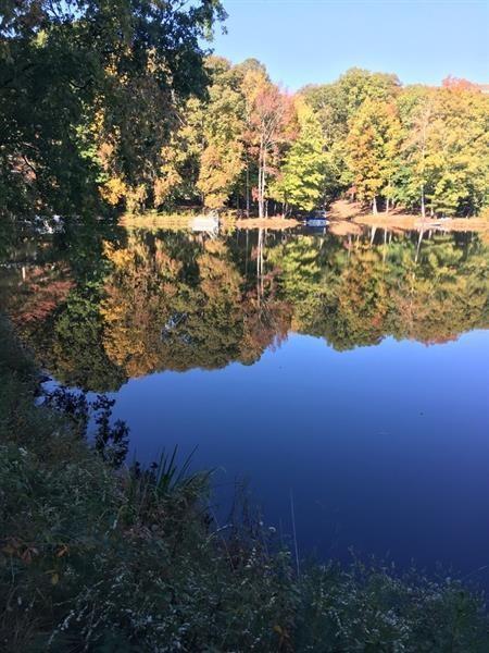 Building Photo - 649 Kenilworth Cir