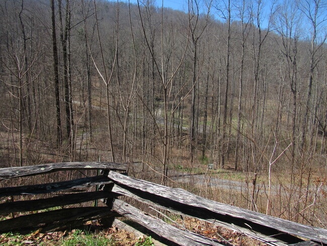 Building Photo - $1,400 - 2 Bedroom / 1 Bath Cabin in Tuckaseegee with Lovely Mountain View