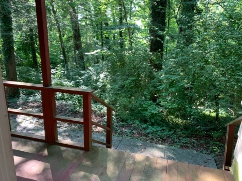 Building Photo - 241 Waddell Cir