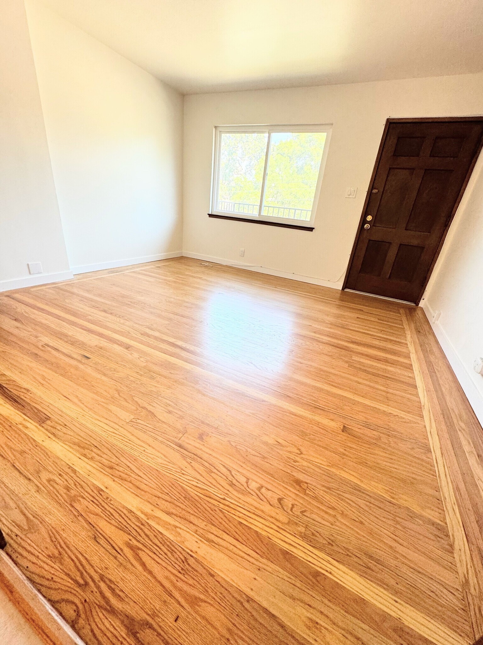 Living Room - 1503 Carmel Dr