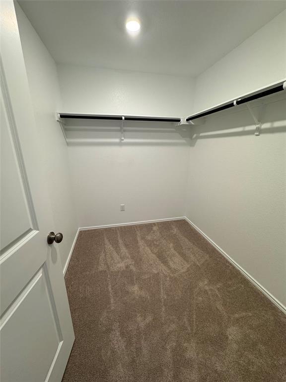 Building Photo - 216 Jeffers