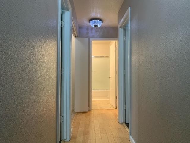 Building Photo - 1101 Citrus Ct