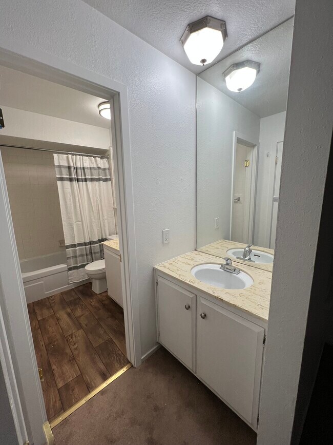 Separate vanity in primary room - 1830 Polk Way