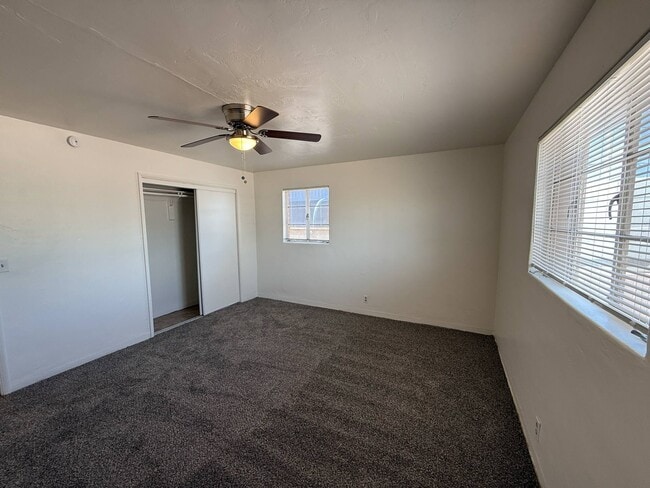 Building Photo - 1325 N Venice Ave