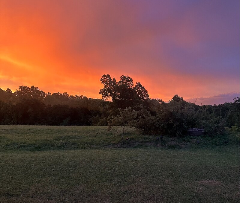 Building Photo - 1908 Bigtooth Aspen Trl