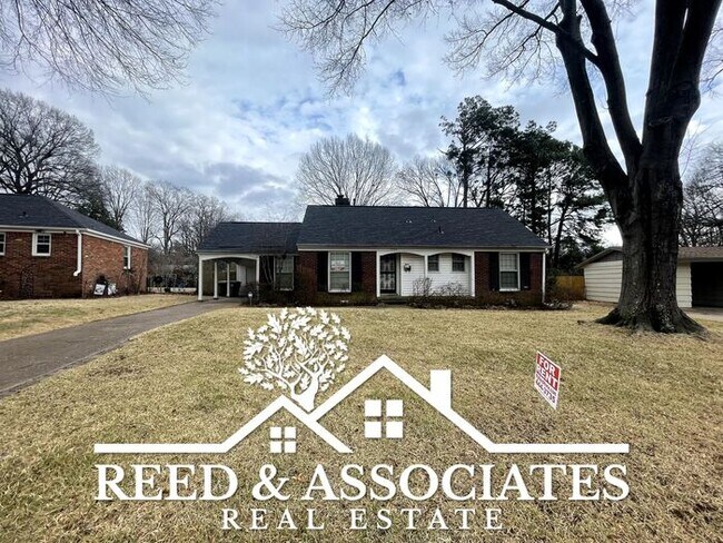 Primary Photo - East Memphis / Audubon Area!