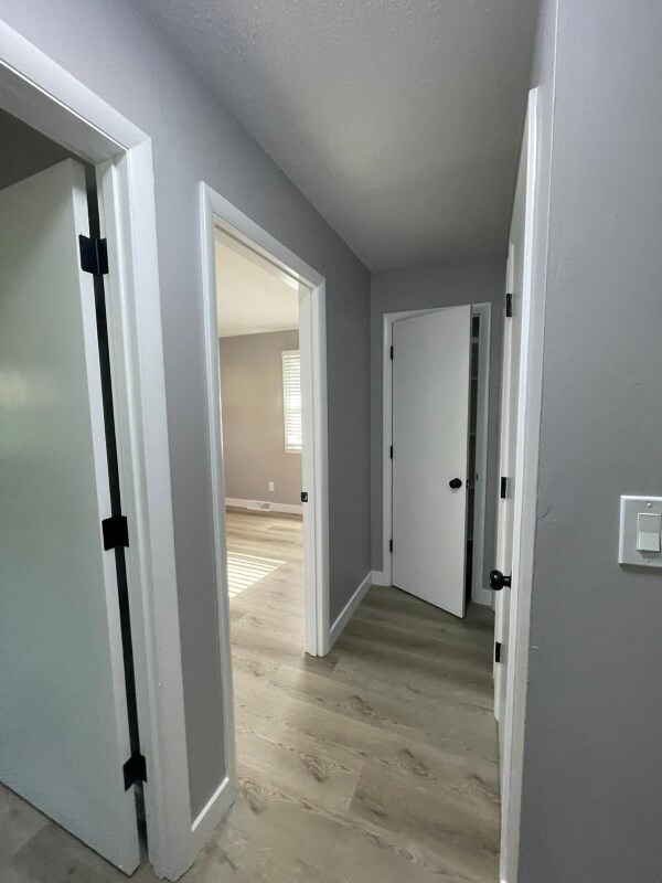 Building Photo - 4502 Waterloo Dr