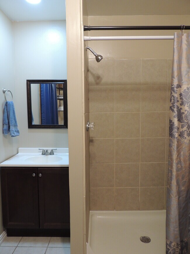 Master bathroom with stand up shower - 910 Perry Ln