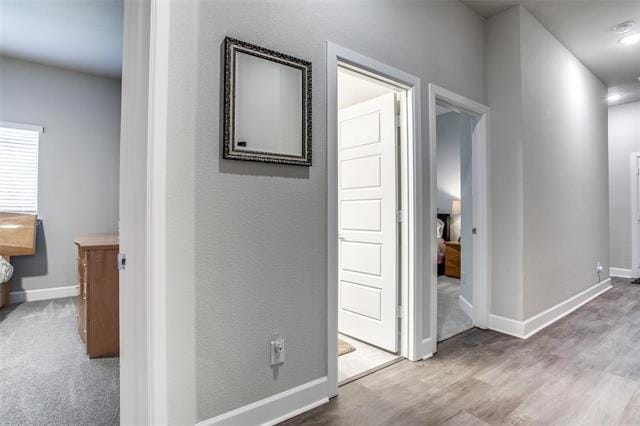 Building Photo - 1209 Maverick Dr