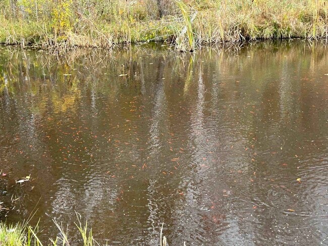 Building Photo - 293 Bear Hill Rd