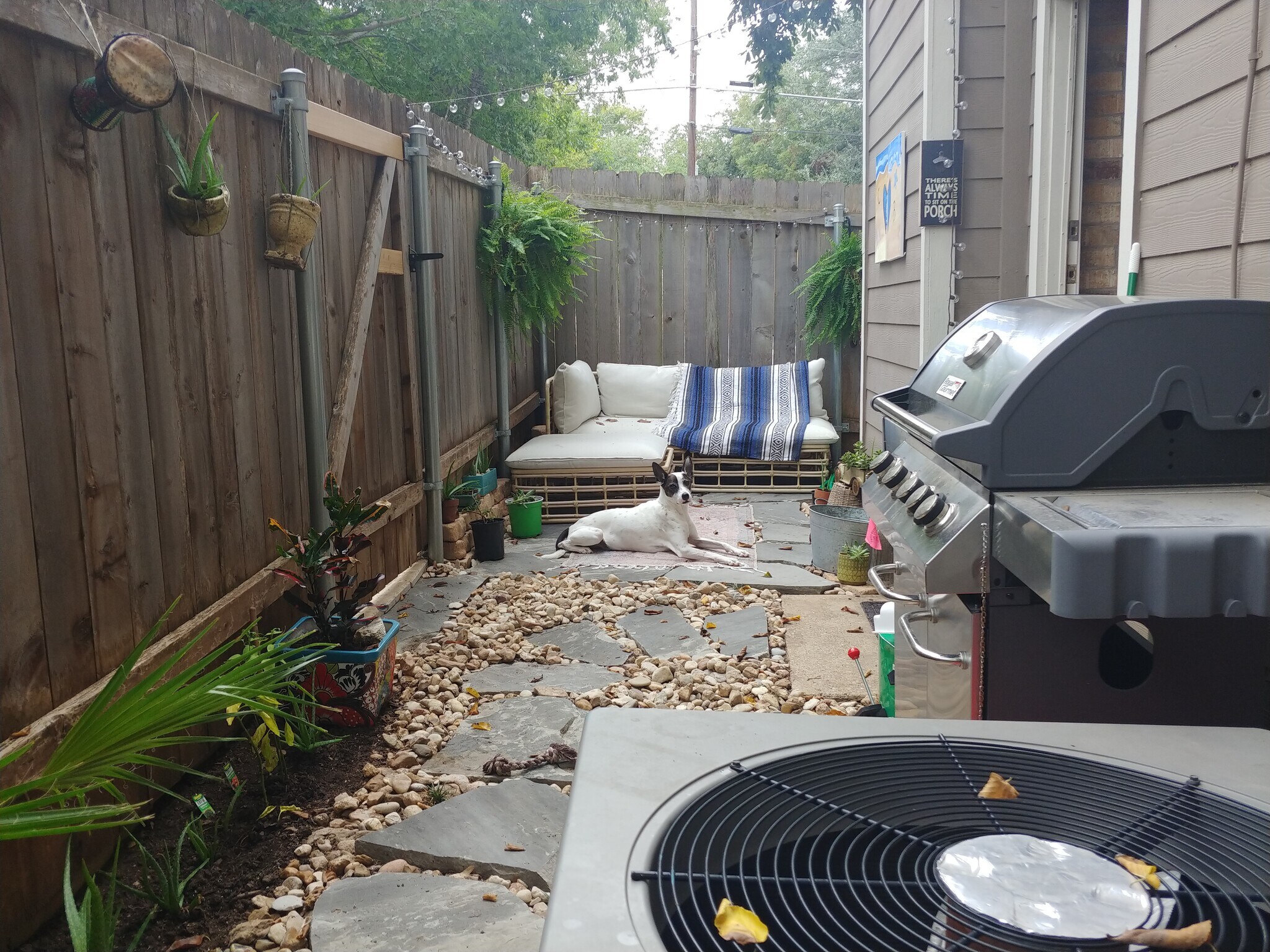 Backyard - 2913 Pearl St